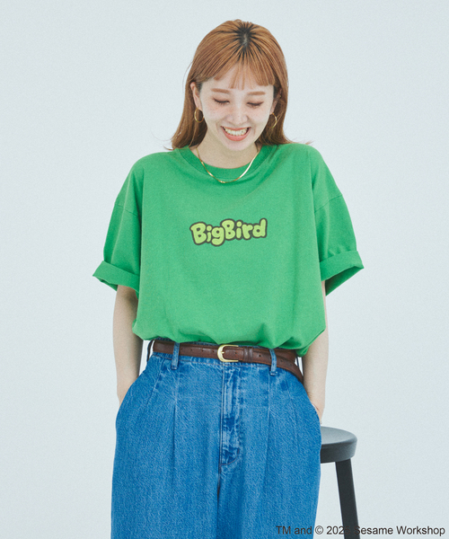JOURNAL STANDARD（ジャーナルスタンダード）の「セサミストリート meets JOURNAL STANDARD 別注プリントTシャツ（Tシャツ/カットソー・メンズ・ブラック系その他/ホワイト×ホワイト/ホワイト系その他/ライトグリーン/ピンク/ブラックミックス・SMALL/MEDIUM/LARGE）」の19枚目の写真