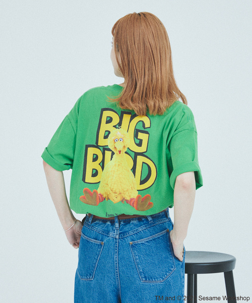 JOURNAL STANDARD（ジャーナルスタンダード）の「セサミストリート meets JOURNAL STANDARD 別注プリントTシャツ（Tシャツ/カットソー・メンズ・ブラック系その他/ホワイト×ホワイト/ホワイト系その他/ライトグリーン/ピンク/ブラックミックス・SMALL/MEDIUM/LARGE）」の20枚目の写真