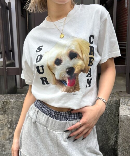Sourcream(サワークリーム)の「【Sourcream/サワークリーム】ミルちゃんTEE(Tシャツ/カットソー・メンズ・ブラック/ホワイト/ネイビー・SMALL/MEDIUM/LARGE)」の8枚目の写真