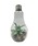 ̑ZNgi\m^ZNgj́ud^CeACg TerrariumiƖjvbB