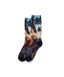 XLARGE(GNXg[W)PALM TREE SOCKS(\bNX/C)