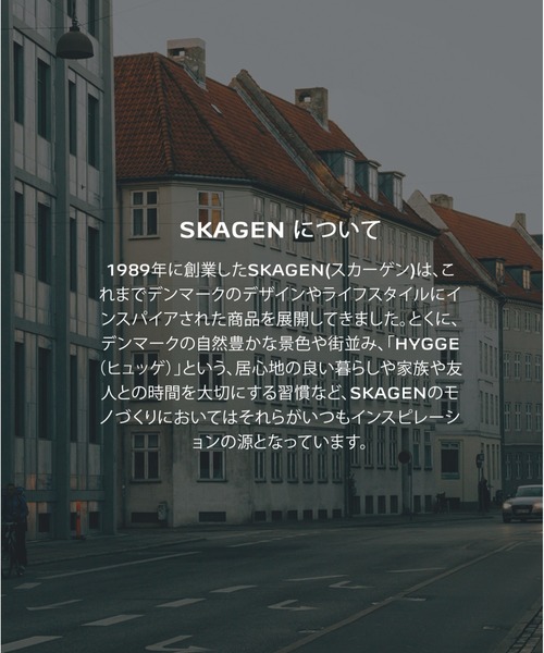 SKAGEN(スカーゲン)の「スカーゲン アクセサリー レディース ネックレス ゴールド SKJ1902710(ネックレス・レディース・ゴールド・FREE)」の12枚目の写真
