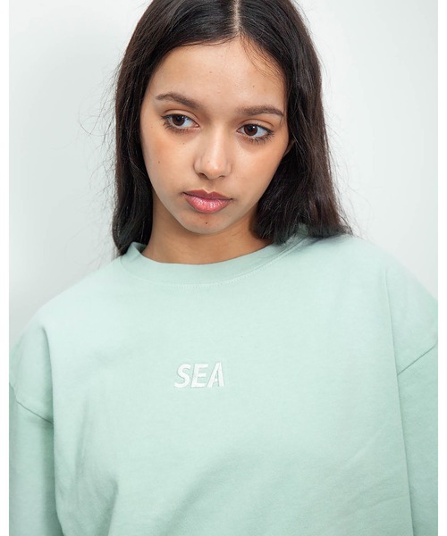 WIND AND SEA(ウィンダンシー)の「SULFUR DYEING LOGO S/S TEE(Tシャツ/カットソー・メンズ・サックスブルー/パープル/ブラウン/ミント/オレンジ/ブラック・X-LARGE/MEDIUM/LARGE/SMALL)」の4枚目の写真