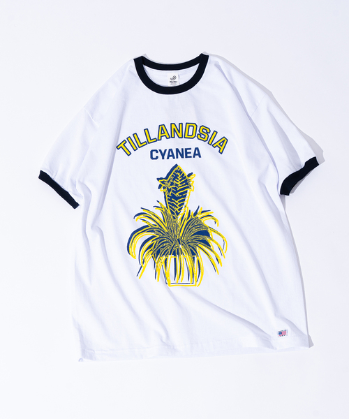 niche.(ニッチ)の「【niche.USA / ニッチ】Potted Ringer-TILL/YELLOW(Tシャツ/カットソー・メンズ・ネイビー・MEDIUM/LARGE)」の1枚目の写真