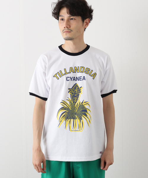 niche.(ニッチ)の「【niche.USA / ニッチ】Potted Ringer-TILL/YELLOW(Tシャツ/カットソー・メンズ・ネイビー・MEDIUM/LARGE)」の14枚目の写真