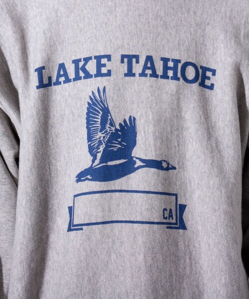 Championスウェット「ダメージ加工」 Champion】REVERSEWEAVE ロゴスウェット ダメージ加工 | FREDY