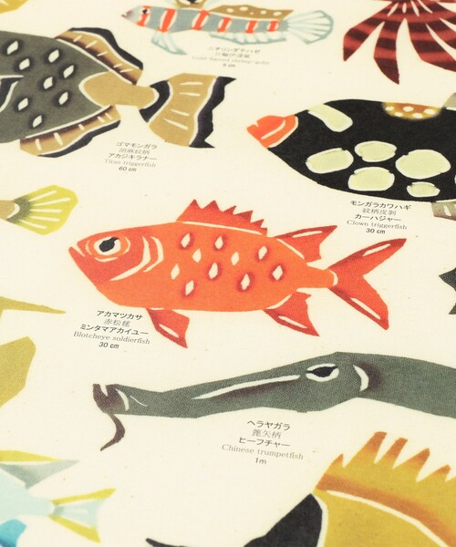 fennica（フェニカ）の「紅型工房 べにきち / ポスター 琉球の魚 琉球の鳥（ポスター/アート・レディース・その他/その他1/その他2・ONE SIZE）」の9枚目の写真