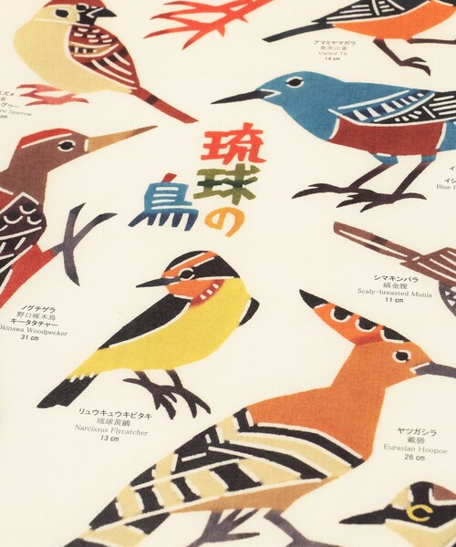 fennica（フェニカ）の「紅型工房 べにきち / ポスター 琉球の魚 琉球の鳥（ポスター/アート・レディース・その他/その他1/その他2・ONE SIZE）」の8枚目の写真