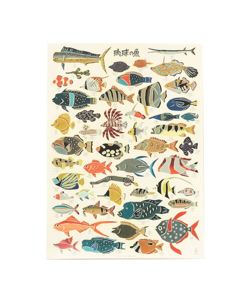 fennica（フェニカ）の「紅型工房 べにきち / ポスター 琉球の魚 琉球の鳥（ポスター/アート・レディース・その他/その他1/その他2・ONE SIZE）」の6枚目の写真