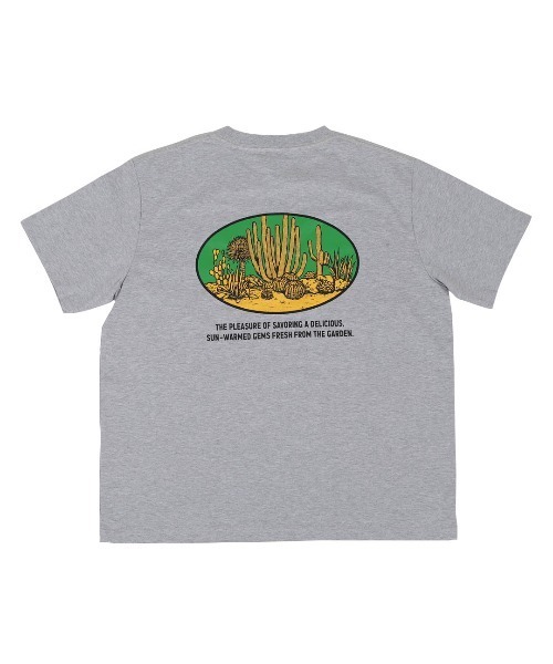 DULTON(ダルトン)の「BOTANY T-SHIRT SAGUARO/ ダルトン Tシャツ スワロー(Tシャツ/カットソー・メンズ・マスタード/チャコールグレー/グレー・MEDIUM/SMALL/X-LARGE/LARGE)」の3枚目の写真