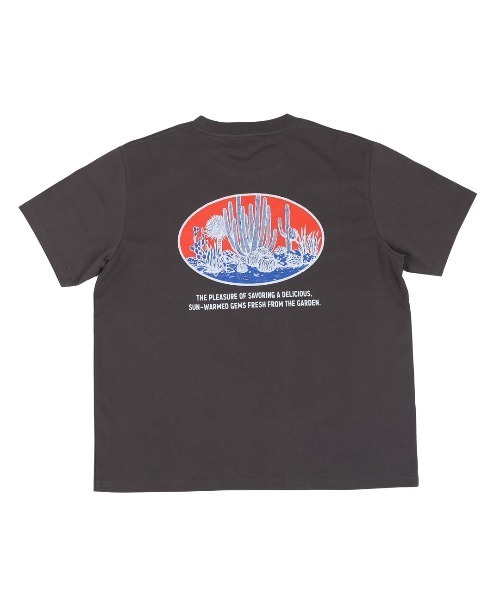 DULTON(ダルトン)の「BOTANY T-SHIRT SAGUARO/ ダルトン Tシャツ スワロー(Tシャツ/カットソー・メンズ・マスタード/チャコールグレー/グレー・MEDIUM/SMALL/X-LARGE/LARGE)」の2枚目の写真