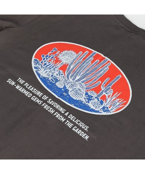 DULTON(ダルトン)の「BOTANY T-SHIRT SAGUARO/ ダルトン Tシャツ スワロー(Tシャツ/カットソー・メンズ・マスタード/チャコールグレー/グレー・MEDIUM/SMALL/X-LARGE/LARGE)」の17枚目の写真