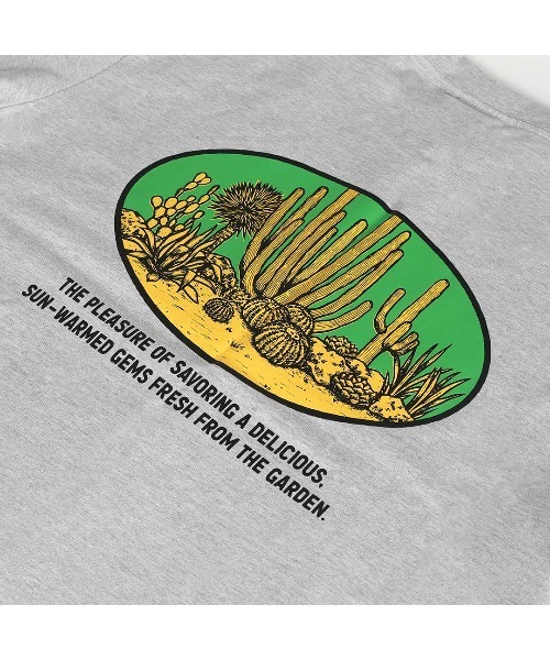 DULTON(ダルトン)の「BOTANY T-SHIRT SAGUARO/ ダルトン Tシャツ スワロー(Tシャツ/カットソー・メンズ・マスタード/チャコールグレー/グレー・MEDIUM/SMALL/X-LARGE/LARGE)」の16枚目の写真