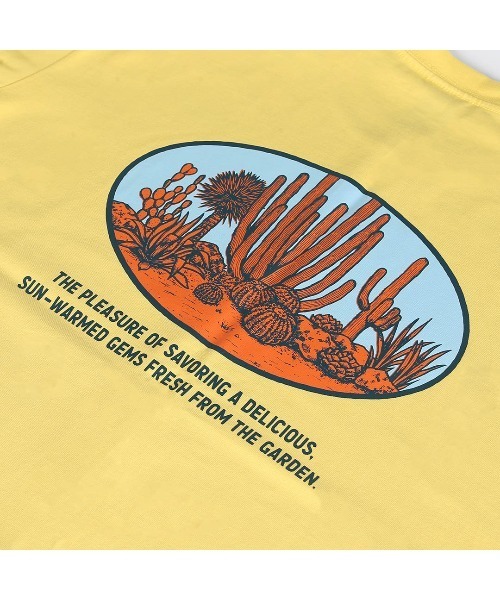 DULTON(ダルトン)の「BOTANY T-SHIRT SAGUARO/ ダルトン Tシャツ スワロー(Tシャツ/カットソー・メンズ・マスタード/チャコールグレー/グレー・MEDIUM/SMALL/X-LARGE/LARGE)」の15枚目の写真