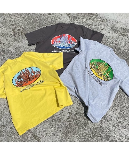 DULTON(ダルトン)の「BOTANY T-SHIRT SAGUARO/ ダルトン Tシャツ スワロー(Tシャツ/カットソー・メンズ・マスタード/チャコールグレー/グレー・MEDIUM/SMALL/X-LARGE/LARGE)」の12枚目の写真