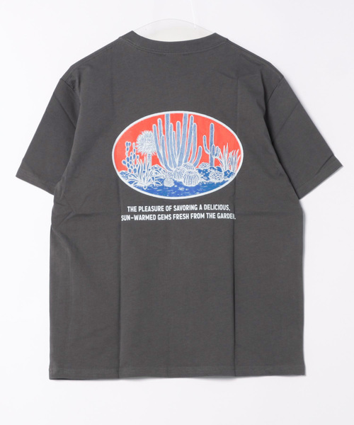 DULTON(ダルトン)の「BOTANY T-SHIRT SAGUARO/ ダルトン Tシャツ スワロー(Tシャツ/カットソー・メンズ・マスタード/チャコールグレー/グレー・MEDIUM/SMALL/X-LARGE/LARGE)」の10枚目の写真