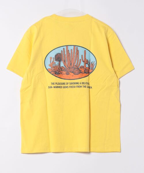 DULTON(ダルトン)の「BOTANY T-SHIRT SAGUARO/ ダルトン Tシャツ スワロー(Tシャツ/カットソー・メンズ・マスタード/チャコールグレー/グレー・MEDIUM/SMALL/X-LARGE/LARGE)」の8枚目の写真