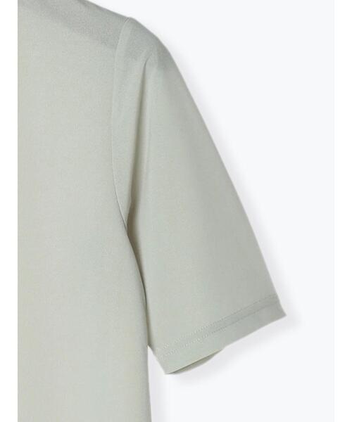 Te chichi(テチチ)の「ハイネックシアーオールラウンドトップス(Tシャツ/カットソー・レディース・ブラウン/グリーン/ブラック/オフホワイト/グレー・F)」の9枚目の写真