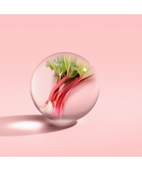 デリシャス ルバーブ＆ローズ オードトワレ 100ml｜モルトンブラウン