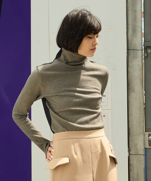 AVIE（アビィ）の「グリッターリブハイネック（Tシャツ/カットソー・レディース・シルバー/ブラック/ブロンズ・38）」の2枚目の写真