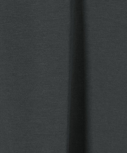 A DAY IN THE LIFE UNITED ARROWS(アデイインザライフユナイテッドアローズ)の「バルーンスリーブTシャツ <A DAY IN THE LIFE>(Tシャツ/カットソー・レディース・ホワイト/ダークグレー/マスタード・FREE)」の7枚目の写真