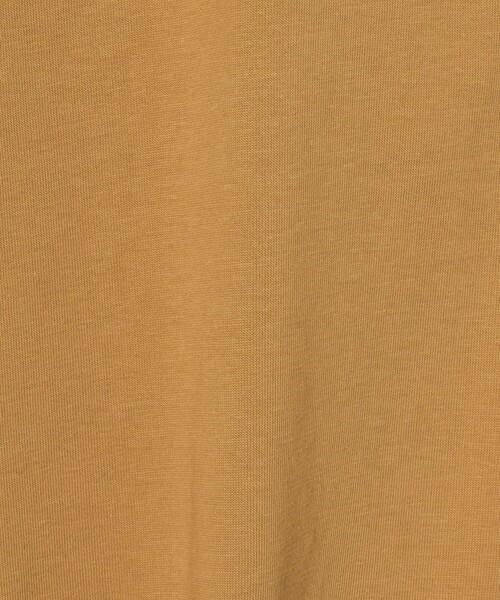 A DAY IN THE LIFE UNITED ARROWS(アデイインザライフユナイテッドアローズ)の「バルーンスリーブTシャツ <A DAY IN THE LIFE>(Tシャツ/カットソー・レディース・ホワイト/ダークグレー/マスタード・FREE)」の10枚目の写真