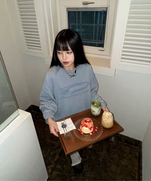FDR(エフディーアール)の「Pigment Washed Disk Logo Crewneck Blue(スウェット・メンズ・その他・M/L/S)」の5枚目の写真