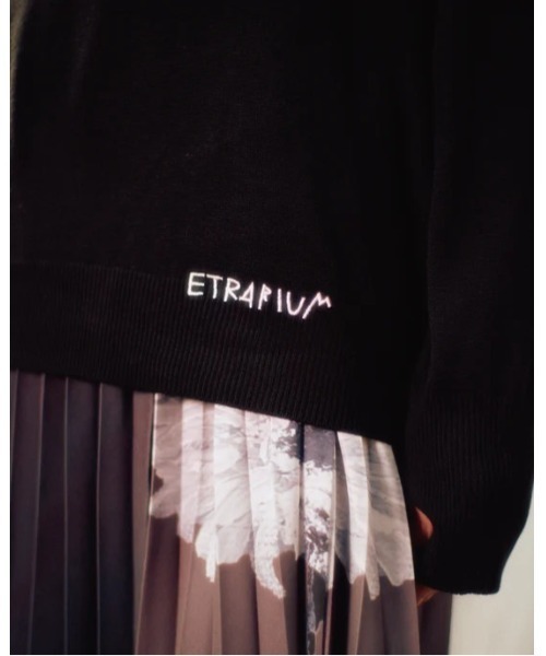 Etrarium(エトラリウム)の「”Etrarium” Turtle Knit(Tシャツ/カットソー・レディース・ブルー/ブラック・SMALL)」の6枚目の写真