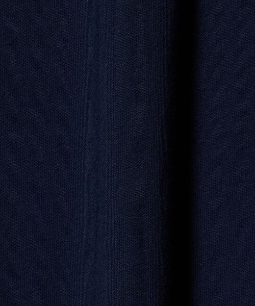 POLO RALPH LAUREN（ポロ ラルフ ローレン）の「【販路限定モデル】＜POLO RALPH LAUREN＞POLO SPORT ロゴ プリント Tシャツ（Tシャツ/カットソー・メンズ・ライトブルー/ホワイト/ネイビー・M/L/XL）」の9枚目の写真