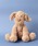 BIRTHDAY BARio[XfCo[j́uyJellycat WF[Lbgz Fuddlewuddle  Medium   ʂ݁ijvbuE