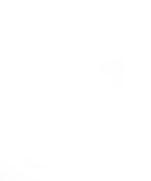 FJALL RAVEN (フェールラーベン)の「FJALLRAVEN: KANKEN(カンケンバッグ)(バックパック/リュック・メンズ・ネイビー/ブラック/オリーブ/オレンジ/ブルー/ブラウン/グリーン/レッド・ONE SIZE)」の4枚目の写真