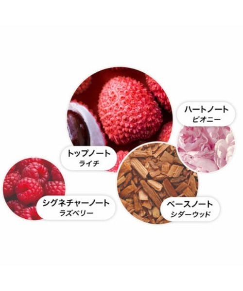 デリシャス ルバーブ＆ローズ オードパルファン 100ml｜モルトン