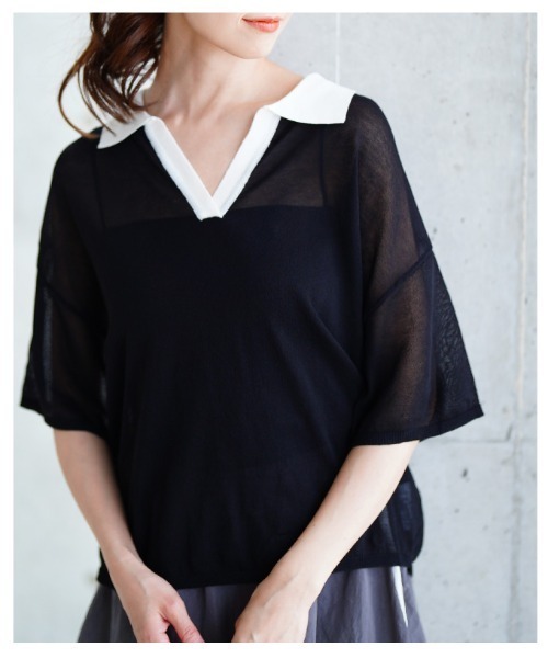 Sawa a la mode（サワアラモード）の「シアーポロニットプルオーバー（Tシャツ/カットソー・レディース・ブラック/ブラウン系その他・FREE）」の16枚目の写真
