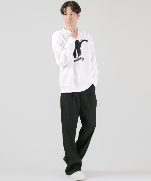 LUXSTYLE(ラグスタイル)の「黒猫アップリケ裏起毛スウェット(スウェット・メンズ・ホワイト/ブラック/グレー・M/L/XL)」の5枚目の写真