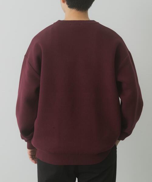 ITEMS URBANRESEARCH（アイテムズ アーバンリサーチ）の「Teddy Bear スウェットライクニット（ニット/セーター・メンズ・バーガンディー/ネイビー/オートミール・MEDIUM/LARGE）」の9枚目の写真