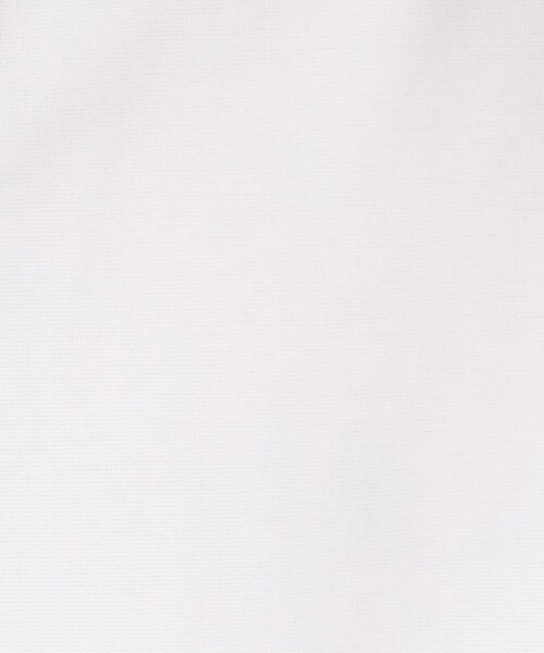 THE SHOP TK （ザ ショップ ティーケー ）の「◆【毛羽立ちにくい】スムーススキッパーポロシャツ（ポロシャツ・メンズ・ブルー/オフホワイト/ベージュ/ネイビー・04/03/02）」の15枚目の写真