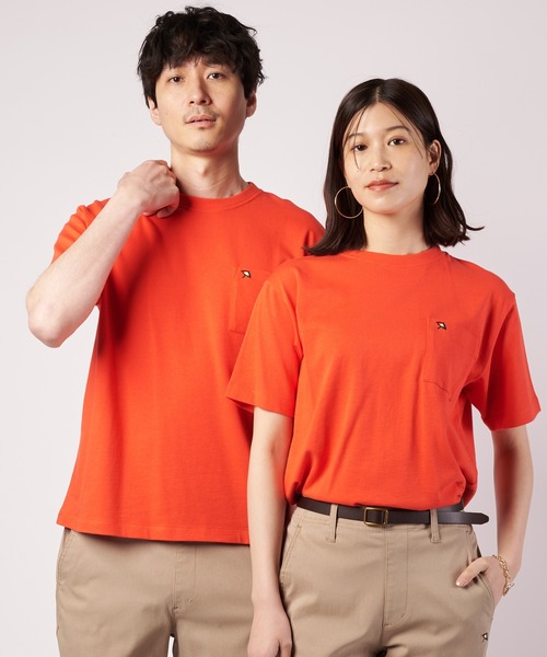 Arnold Palmer（アーノルドパーマー）の「APクラシック シェア 半袖 Tシャツ（Tシャツ/カットソー・レディース・グリーン/ネイビー/ベージュ/ブラック/ホワイト/マスタード/バーガンディー/オートミール/ブラウン/ブルー/ピンク/ダークグリーン/サックスブルー/オレンジ/イエロー・S/M/L/LL/XS）」の15枚目の写真