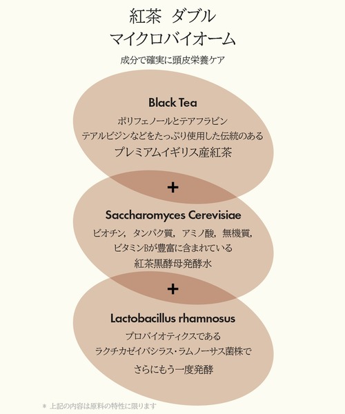 anillo(アニーロ)の「【aniilo/アニーロ】ブラックティー ナリッシング スカルプシャンプー(450ml)(シャンプー・レディース・Black Tea・FREE)」の9枚目の写真