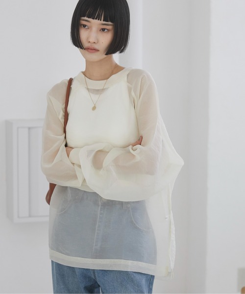 ANGIE（アンジー）の「オーガンジー シアートップス/プルオーバー（Tシャツ/カットソー・レディース・ブラック/アイボリー/ライトグレー・FREE）」の14枚目の写真