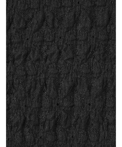 mizuiroind（ミズイロインド）の「mizuiro ind ストレッチレースラウンドカラーシャツ（シャツ/ブラウス・レディース・オフホワイト/ブラック/グレー・FREE）」の7枚目の写真