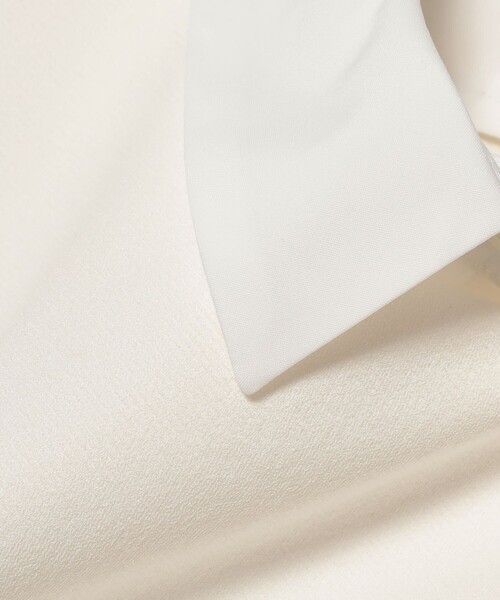 Demi-Luxe BEAMS（デミルクス ビームス）の「【2/5再値下げ】アタッチドカラー ツイルシャツ（シャツ/ブラウス・レディース・ブラック/ホワイト・36/38）」の9枚目の写真