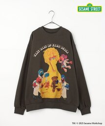 SESAME STREET コラボトレーナー(大人) リンク