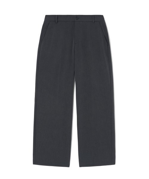 GROOVERHYME（グルーブライム）の「RELAXED STANDARD BENDING SLACKS (GREY) [LRRSCPA106M]（スラックス・メンズ・その他・LARGE）」の2枚目の写真