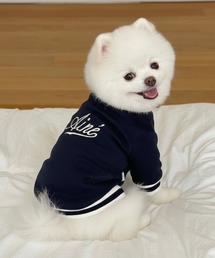 Dalfwin（ダールフィン）の「ペットウェア Bロゴ配色ラインリブカットソー（ペットウェア）」