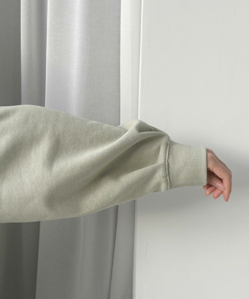 F i.n.t（フィント）の「ロゴ刺繍シュナウザースウェット（スウェット・レディース・ネイビー/オフホワイト/ミント・FREE）」の12枚目の写真