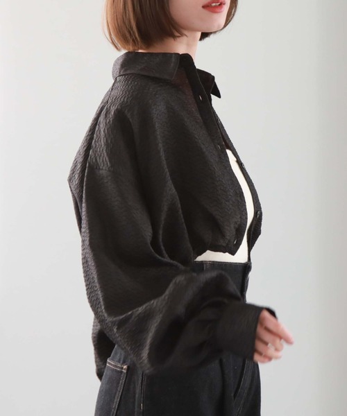 archives（アルシーヴ）の「シアーエンボスタックショートシャツ（シャツ/ブラウス・レディース・ブルー/アイボリー/ブラック/ベージュ・MEDIUM）」の15枚目の写真