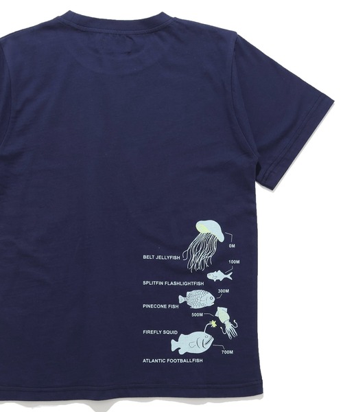 KRIFF MAYER Kid's Collection（クリフメイヤーキッズコレクション）の「【綿100％】光る！生き物Tシャツ（深海）（Tシャツ/カットソー・キッズ・ライトグリーン/ネイビー/オフホワイト/サックスブルー・150/140/130/120/170/160）」の3枚目の写真