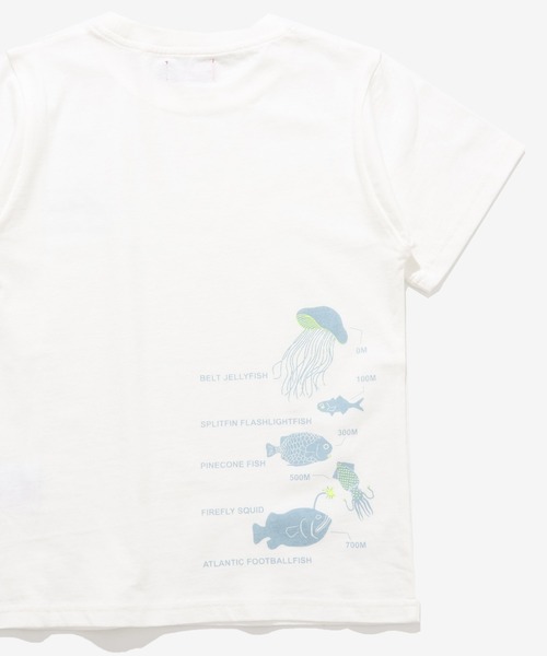 KRIFF MAYER Kid's Collection（クリフメイヤーキッズコレクション）の「【綿100％】光る！生き物Tシャツ（深海）（Tシャツ/カットソー・キッズ・ライトグリーン/ネイビー/オフホワイト/サックスブルー・150/140/130/120/170/160）」の2枚目の写真
