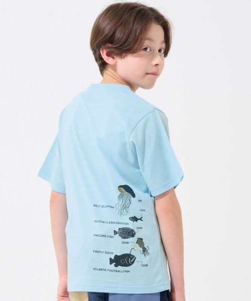 KRIFF MAYER Kid's Collection（クリフメイヤーキッズコレクション）の「【綿100％】光る！生き物Tシャツ（深海）（Tシャツ/カットソー・キッズ・ライトグリーン/ネイビー/オフホワイト/サックスブルー・150/140/130/120/170/160）」の4枚目の写真