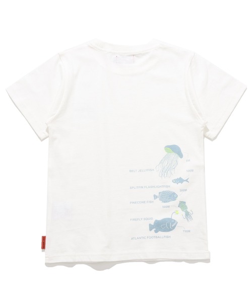 KRIFF MAYER Kid's Collection（クリフメイヤーキッズコレクション）の「【綿100％】光る！生き物Tシャツ（深海）（Tシャツ/カットソー・キッズ・ライトグリーン/ネイビー/オフホワイト/サックスブルー・150/140/130/120/170/160）」の20枚目の写真